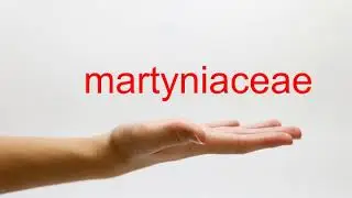 How to Pronounce martyniaceae - American English