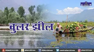 Wular Lake | Documentary - Promo #shorts