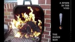 A Spark In The Void - The Raisin Man
