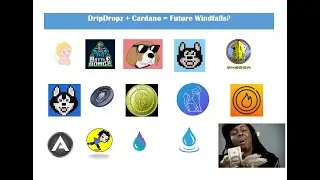 DripDropz's Fortunes in waiting? A Dark Horse of The #Cardano Ecosystem?