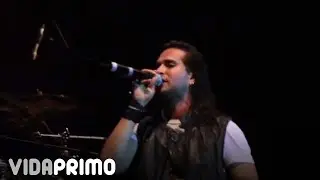 Anima Inside - My Silence (Live - Mr. Big opening)
