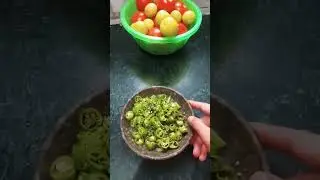 instant satvik green chilli tadka daal||dal tadka recipe
