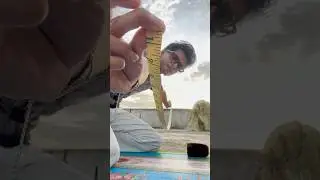 ASMR quick measuring You normally 📏 #asmr #shorts #shortvideo #shortsvideo #short #asmrsounds