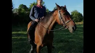 #BareBack Ernest Truely (2015 )