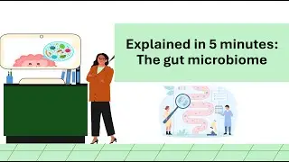 Unlocking the Secrets of Your Gut: Fun Facts & How Your Microbiome Works!
