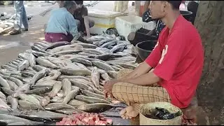 𝗙𝗶𝘀𝗵 𝗠𝗮𝗿𝗸𝗲𝘁 𝗩𝗹𝗼𝗴𝘀 & 𝗙𝗶𝘀𝗵 𝗖𝘂𝘁𝘁𝗶𝗻𝗴 is live fish selling