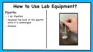 Introducing Laboratory Safety and Equipment