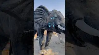 Cute Elephant Crying 🥲❤️|