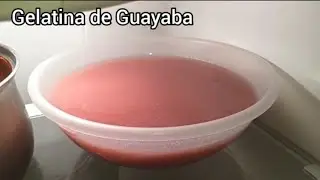 Gelatina de Guayaba con fruta natural.