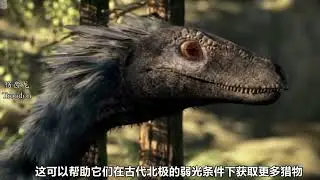 霸王龙的北方小弟 #白熊龙 #古生物#自然奇境科普季 #春日盛放 #自然给你点颜色看看