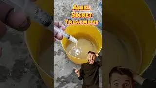 Aseel Murghiyon Ka Secret Treatment &ndash; 3 Din Mein Farq Dekhein! 🐔💊 #aseel #shorts #aseelmurga