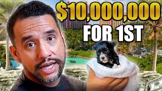 I Played the Biggest Poker Tournament Ever and Tried to Save a Puppy Shelter