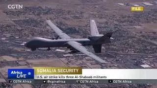 U.S. air strike kills 3 Al-Shabaab militants