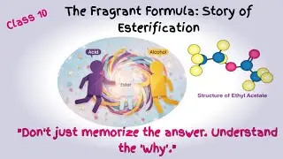 Formation of Ester class 10: Story of Esterification #Class10Chemistry #class10science #science 
