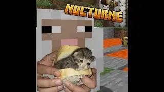 ДРАМА ЛОР РАССЛЕДОВАНИЕ / Залетаем на новый  Nocturne