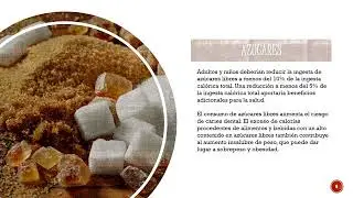 ALIMENTACI&Oacute;N  BALANCEADA QUETZALLI