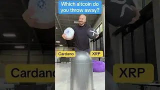 Cardano or XRP?