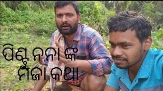 ପିଣ୍ଟୁ ନନା ମଜା କଥା ଶୁଣି ଭଲ ଲାଗିବ