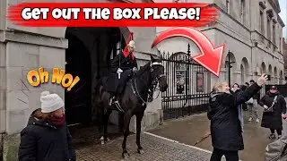 Tourist Poses for a Selfie Inside the Box — King’s Guard Issues Polite Warning 👑
