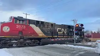 New Year’s Day Live (Featuring The First Two Catches Of 2026)