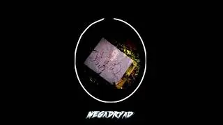 Megadryad - Haus