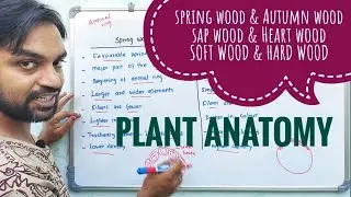 Spring wood and Autumn wood | Sap wood and Heart wood | Soft wood and Hard wood | Plant Anatomy