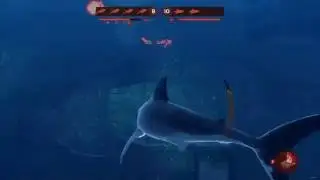 Depth - Time to become a savage (Shark Game)