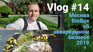 VLOG -   BioBox об аквариумном бизнесе в Москве/Na-studio Bobruisk