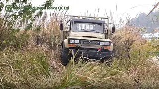 Dongfeng Off-road Trucks Classic Appearance With Cummins Engine#dongfeng #trucks #cummins #truck