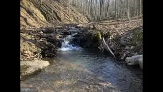 153 Ashton Woods, Moorefield, WV ~ 20.20 AC ~ $85,000    ***SOLD 04/28/21 FOR $87,500***