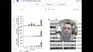 RT PCR analysis of Cis, Il2 and Cd25 mRNA in naive CD4+ T