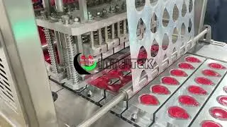 6 lanes Communion cup filling sealing machine