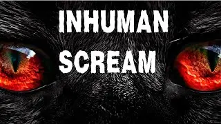 We heard an inhuman scream