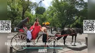 Full loop Private Horse Carriage Ride in Central Park 45 Minutes