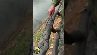 Дачные идеи лайфхак #дача #грядки #забор #ограждения #своимируками #бесплатно #деревня #село