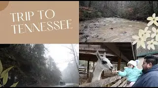 Roadtrip to Tennessee | driving from Texas to Tennessee