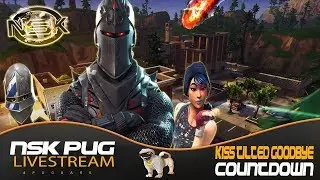A PUG VS THE WORLD! FORTNITE SOLOS! @KyleThePug (ROAD TO 8K)