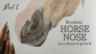 How to Draw a Realistic Horse Nose in Coloured Pencil | Real Time Tutorial | Part 2