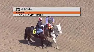 RaceView Network