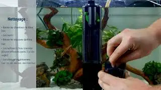 Filtre Tetra IN : Installation, nettoyage et dépannage