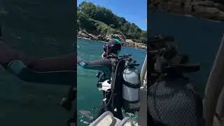 Scuba Diving in French cold water in the Atlantic Ocean near Spain #scuba #diver #atlanticocean #uw