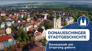 Donaueschinger Stadtgeschichten - Donaustadt am Ursprung geborn