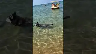 пляж .в Анапе 🌊 отель Афалина