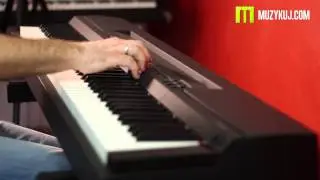 Yamaha P-255 - Sound Test Review