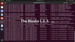 Guide : How To Install EOSIO On UBUNTU Linus with Terminal And Create Of Your Own SMART CONTRACT