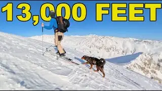 Epic Backcountry Ski Dog