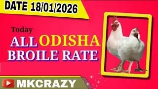 #TodayBroilerRate #Date_18_01_2026 #Todaychickenrate  All odisha broiler rate #broilerrate #Mkcrazy 