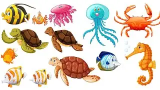 Sea Animals - Kids vocabulary -  learn English for kids - English Education video - weeks and month