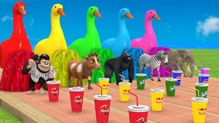 Long Slide Game with Cow Elephant Gorilla Hippopotamus Tiger 3d Animal Game Funny 3d Animals