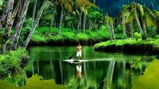 Unforgettable scenery (HD1080p)